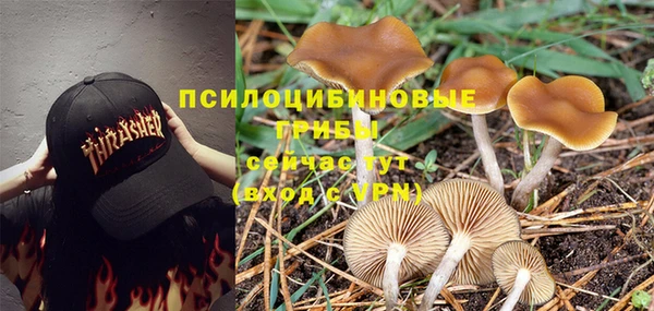 ALPHA PVP Верея